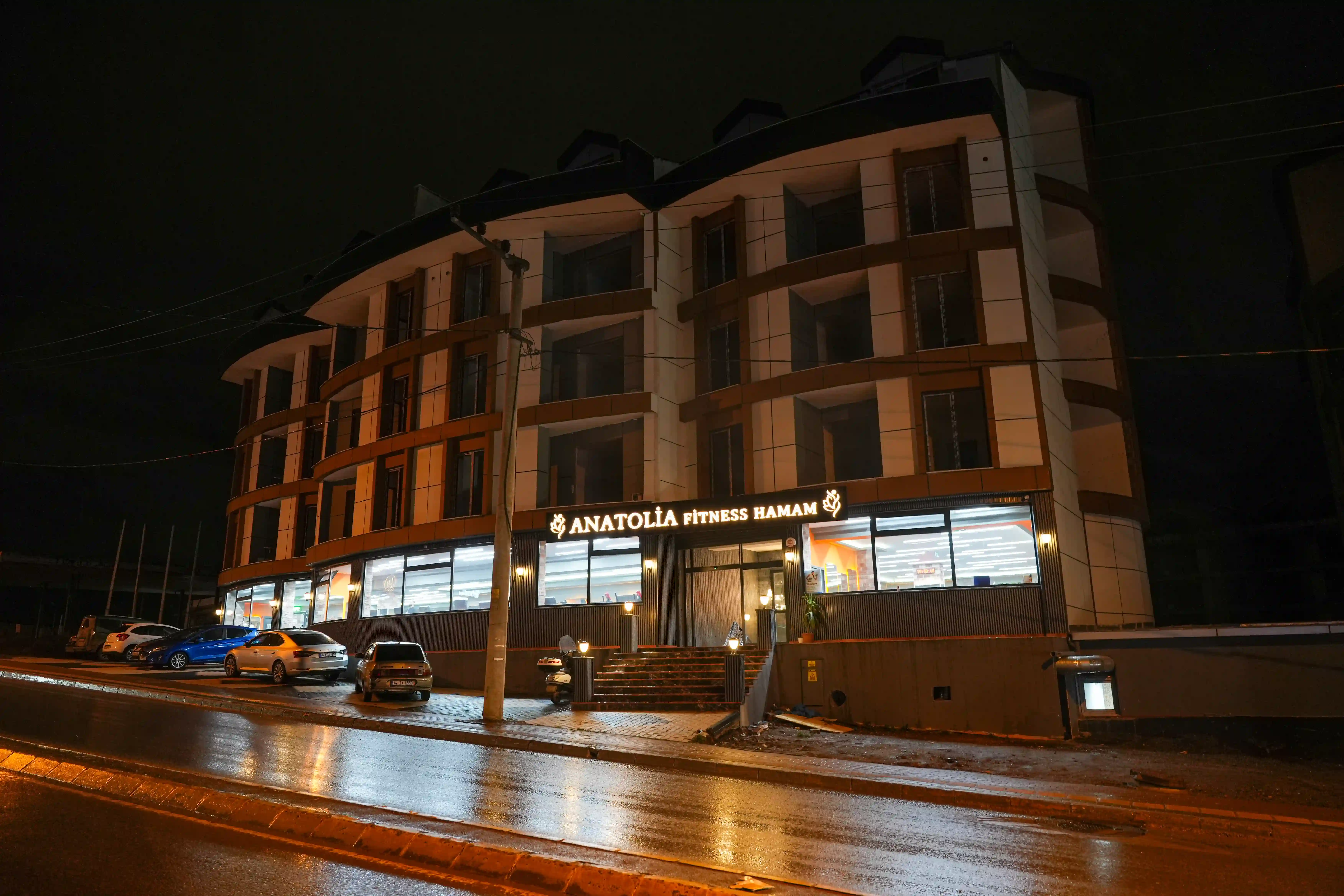 Anatolia Tesis Girişi